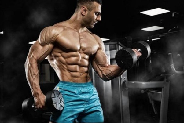 Motives good reasons to give your body sarms during fitness center program post thumbnail image