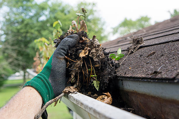 Window Cleaning: Tricks to Make the Task Easier post thumbnail image