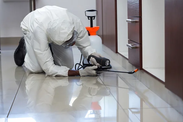 Affordable Pest Control Services in Las Vegas post thumbnail image
