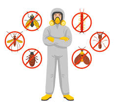 Eliminate Insects and Rodents with Expert Exterminators in Las Vegas post thumbnail image