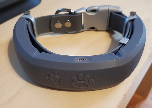 Stay Connected with the Halo Collar’s Advanced GPS Tracking post thumbnail image