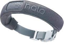 Halo Wise Dog Collar Review: Would It Be Really worth the Funds? post thumbnail image