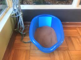 Animal Wellness Magazine’s Smart Litter Box Guide: Revolutionizing Pet Waste Management post thumbnail image