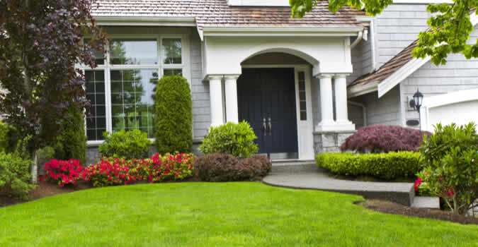 Keep Your Denver Lawn in Perfect Condition with Professional Maintenance post thumbnail image