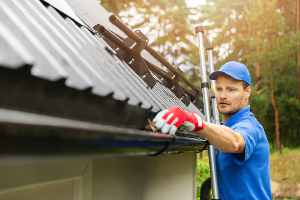 Just how do window cleaners clean your home windows just like a master post thumbnail image