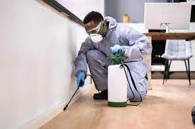 Efficient Pest control Las Vegas for Las Vegas Retail Stores post thumbnail image