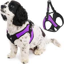 Custom Dog Harness for Great Danes: Size and Sturdiness post thumbnail image
