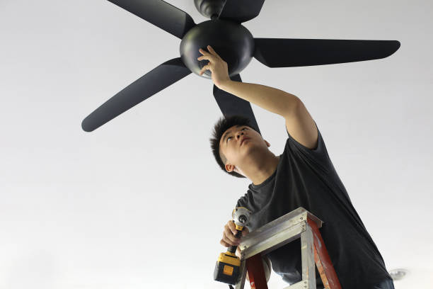 Ceiling Fan Installer Brisbane: Cooling Solutions Tailored to Your Space post thumbnail image