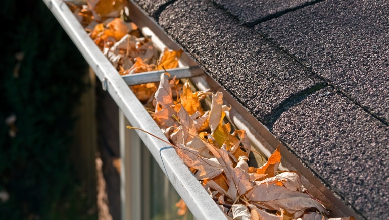 Hidden Costs of Neglecting Gutter Cleaning: Why Regular Maintenance is Important post thumbnail image