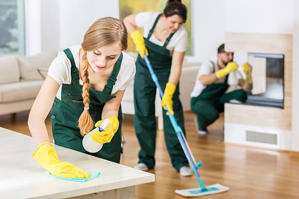 Office Cleaning Services: Where Clean Meets Efficiency post thumbnail image