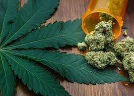 Trippy Wizard Dispensary: A World of Cannabis Awaits post thumbnail image