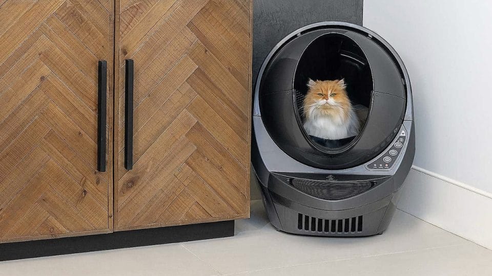 Upgrade Your Cat’s Best automatic litter box with the Best in 2023 post thumbnail image