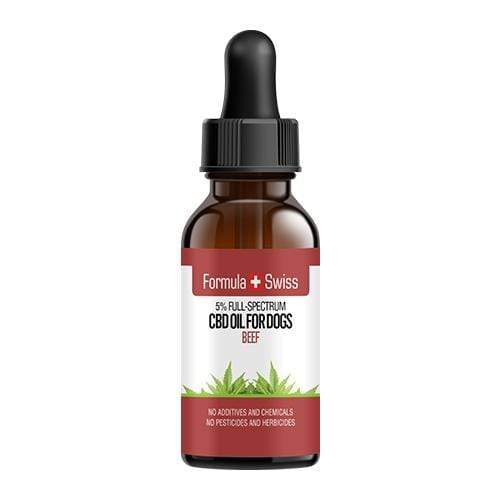 Can CBD Oils Support Treat Epilepsy? post thumbnail image