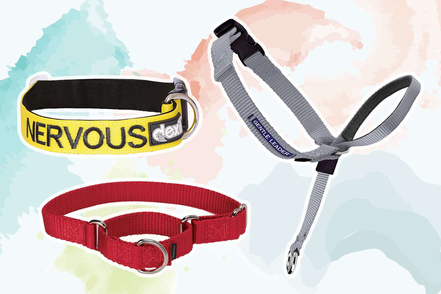 Choosing the Best Training Collar for Dogs: Expert Recommendations post thumbnail image