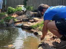 Revitalize Your Oasis: Expert Pond Cleaning Services post thumbnail image