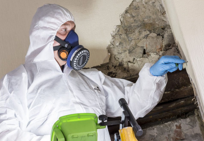 Expert Insights: Understanding Asbestos Survey Reports post thumbnail image