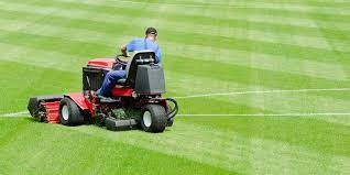 Commercial Grounds Maintenance: A Flourishing London Experience post thumbnail image