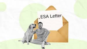 Convenience at Your Fingertips: The Ease of Applying for an ESA Letter Online post thumbnail image